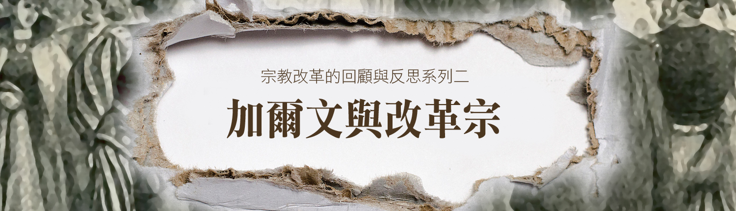 加爾文與改革宗