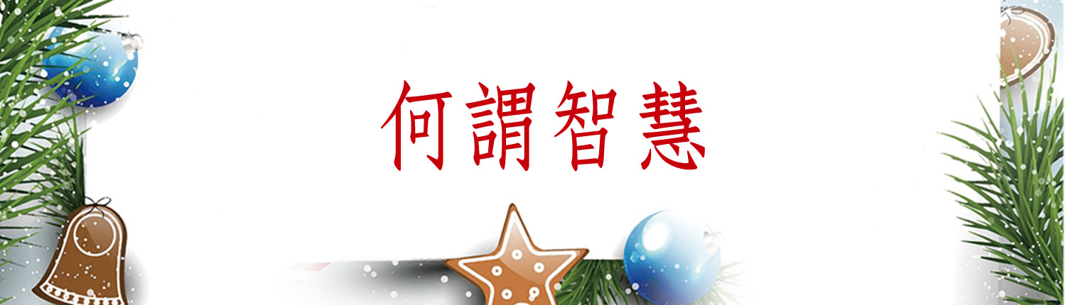 何謂智慧