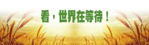 看，世界在等待
