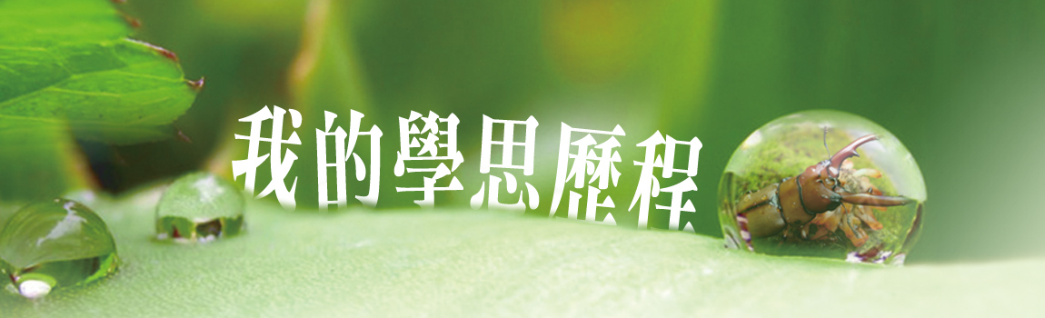 我的學思歷程