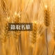 錄取名單